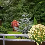 Waldpension Maison d'hôtes 3*