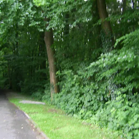 Guest house Waldpension Bielefeld