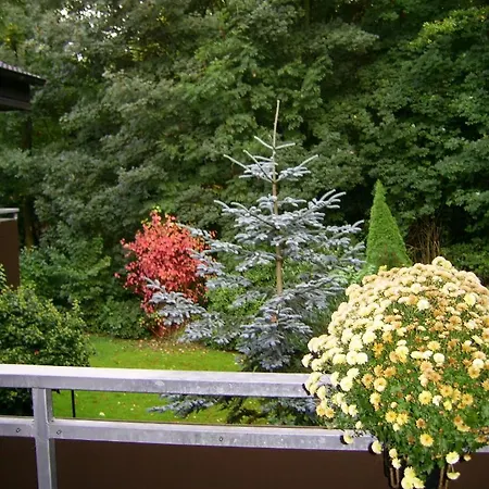 Waldpension Guest house 3*