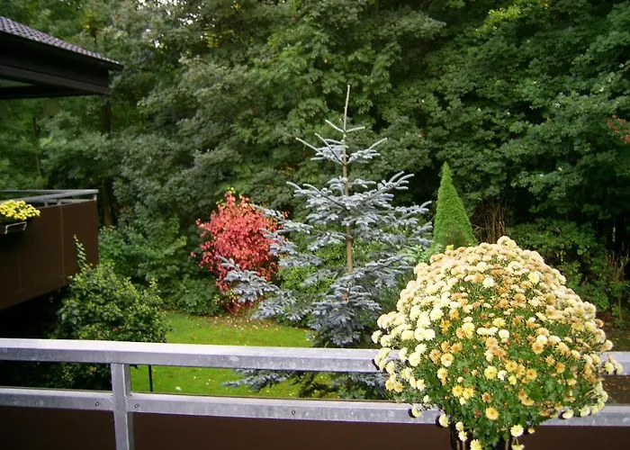 Waldpension Гостевой дом 3*